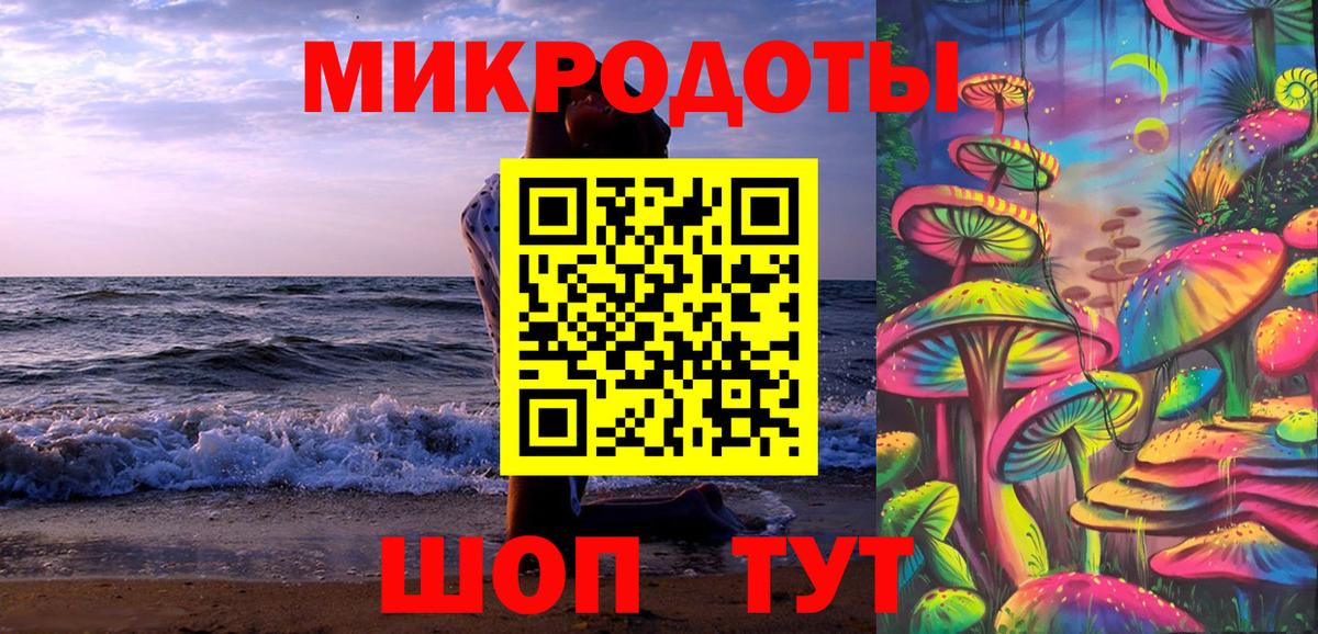 Псилоцибиновые грибы Psilocybe Симферополь