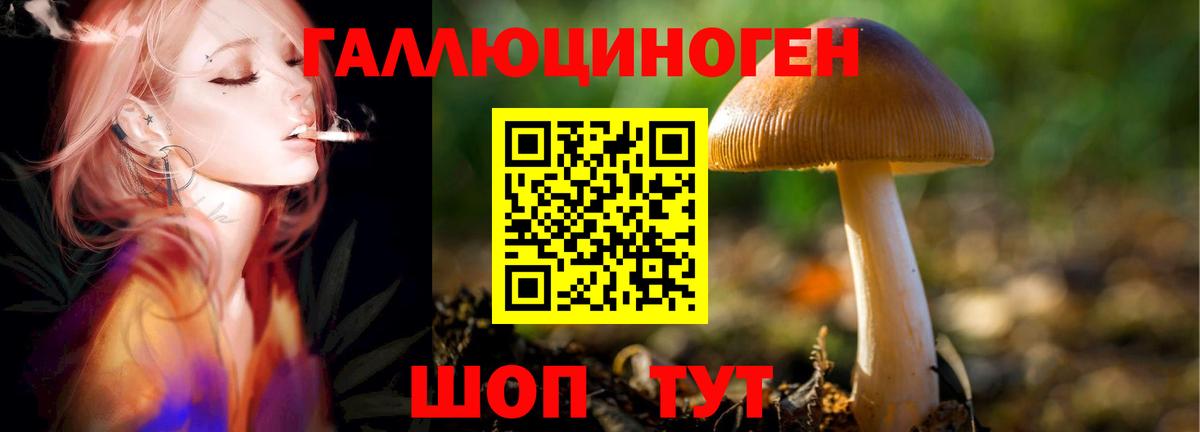 Симферополь  Галлюциногенные грибы Psilocybine cubensis  Вход с VPN  Галлюциногенные грибы прущие грибы 